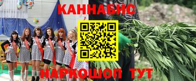 стаф Будённовск