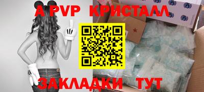 стаф Будённовск