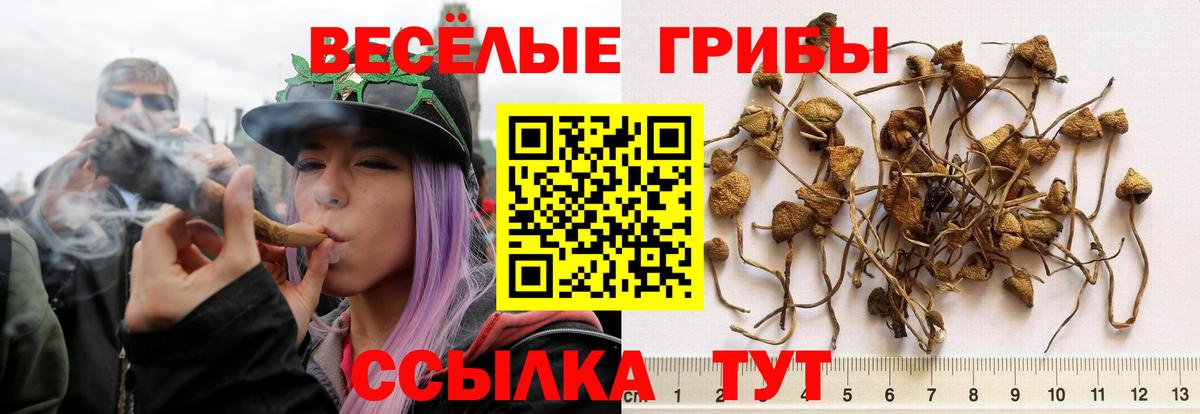 Липецк  Галлюциногенные грибы Magic Shrooms  Вход с VPN  Псилоцибиновые грибы Psilocybine cubensis 